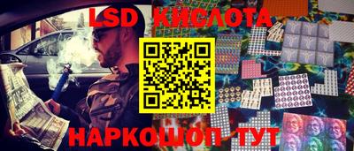 прущие грибы Новодвинск
